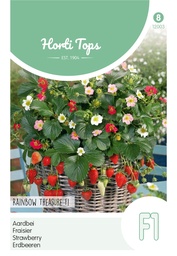 [02-012003] Aardbeien TREASURE F1 - ca 15 z