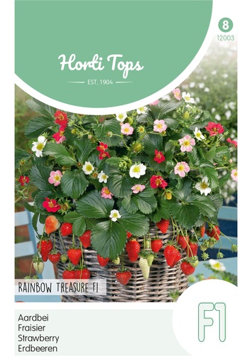 [02-012003] Fraisiers Rainbow Treasure hybride F1 - ca 15s