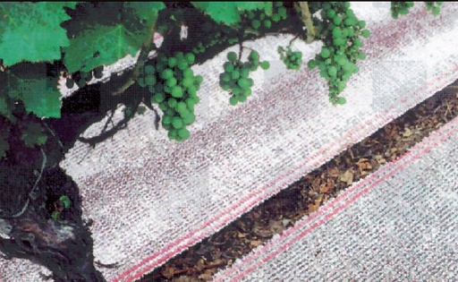 [904401] Module d'allumage