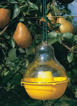 [12-008900] TRAPPIT 250 ml lokmiddel tegen wespen