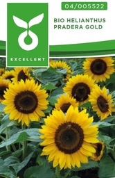 [04-005000] Helianthus SUNRAY F1 - ca 25 z