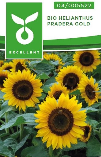 [04-005000] Helianthus SUNRAY F1 - ca 25 z