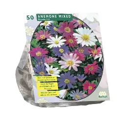 [09-300201] Anemoon BLANDA MIX - 50 st
