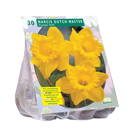 [09-301351] Narcis Trompet Geel - 20 st
