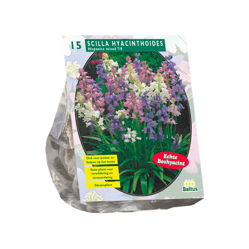 [09-301590] SEED PACKET STORAGE,VERT