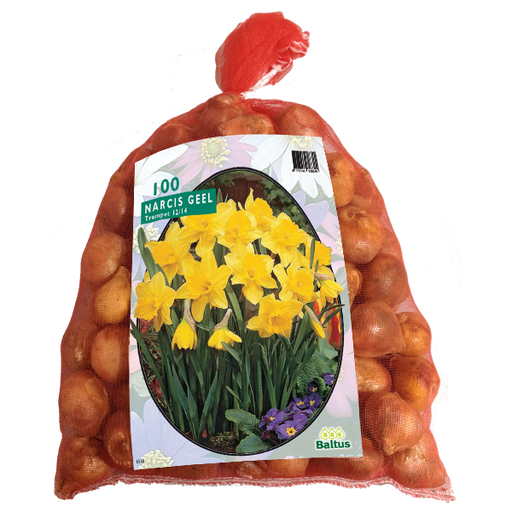 [09-302600] Narcissus Trumpet Geel - 100 st