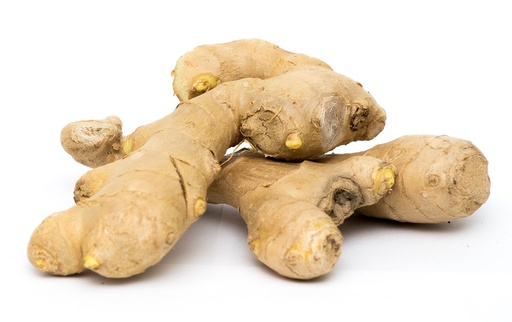 [07-007310] Gemberknol GEMBER OFFICINALE - 1 STUK