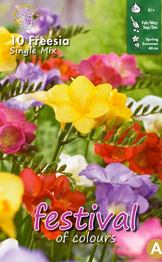 [09-200132] Freesia MIX - 10 pc
