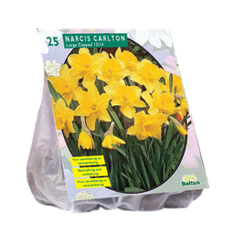 [09-301361] Narcis CARLTON - 20 st