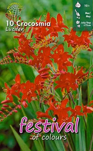 [09-200154] Crocosmia LUCIFER - 10 pc