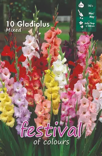 [09-200653] Glaieuls MIX - 10 pc
