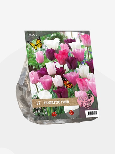 [09-306110] Urban Flowers Fantastic Four - 17 st