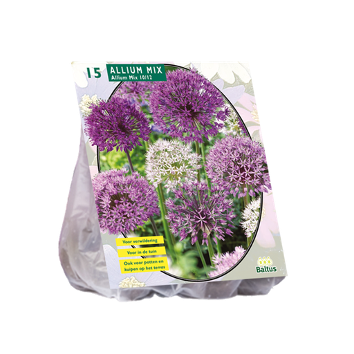 [09-300166] Allium MIX POURPRE/BLANC - 15 pc
