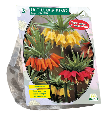 [09-300670] Fritillaria Imperialis MIX - 3 pc