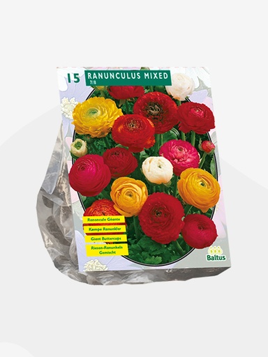 [09-101530] Ranonkel MIX - 15 pcs