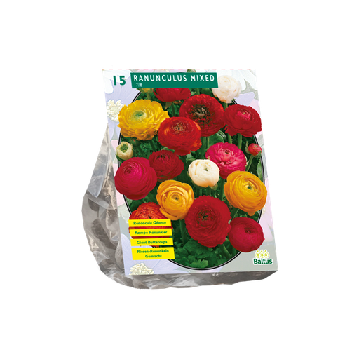 [09-101530] Ranonkel Mix - 15 st