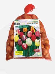 [09-302590] Tulipa DARWIN MIX in gaasbaal   - 100 st/+
