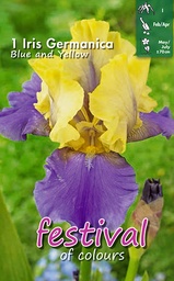 [09-900990] Iris BLAUW & GEEL - 1 st