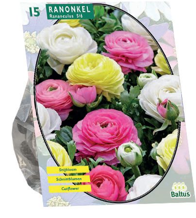 [09-101535] RENONCULE PASTEL MIX - 15 pcs
