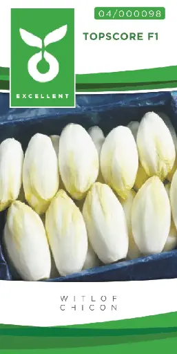 [04-000098] Witloof TOPSCORE F1 - ca 250 z