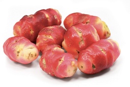 [07-001505] Oca OXALIS CRENATA - 10 knollen