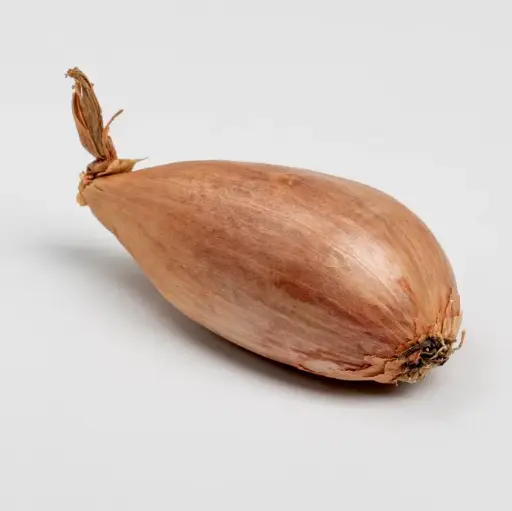 [07-003883] Plantsjalot LONGOR