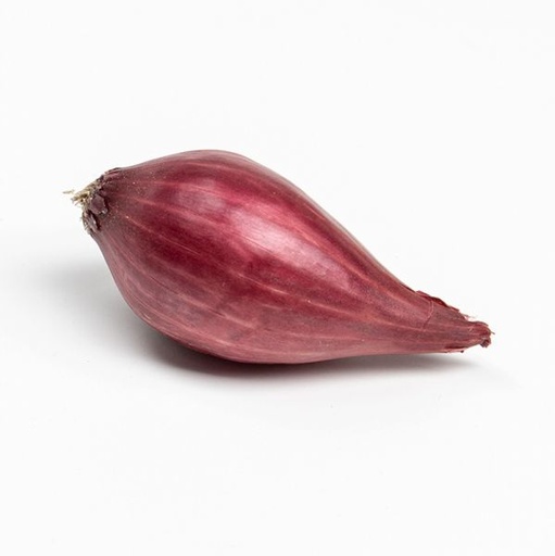 Oignon à planter RED KARMEN - ca. 250 g