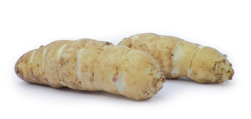 [07-007295] HELIANTI of ZONNEWORTEL - 5 st.