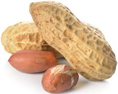 [07-007360] PINDANOTEN OF AARDNOTEN,ca. 50 g