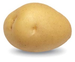 [07-000925] Aardappelpootgoed ADORA klasse A 28/35 - per kg