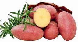 [07-000930] Plants de pomme de terre VALERY Classe A 28/32 - par kg