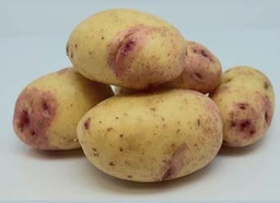 [07-000945] Aardappelpootgoed CAROLUS klasse A 28/35 - per kg