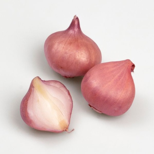 [07-003820] Oignon à planter PTUJSKA RDECA - ca. 250 g