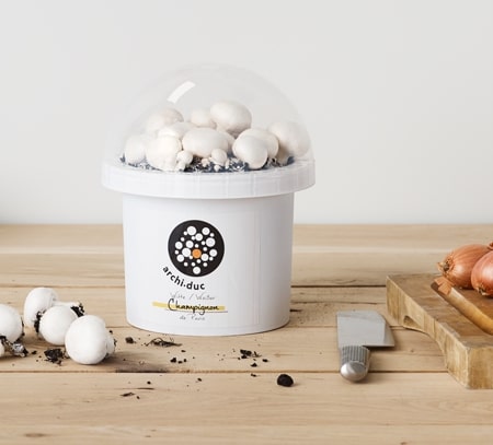 [07-009878] Champignonkweekset WITTE CHAMPIGNON