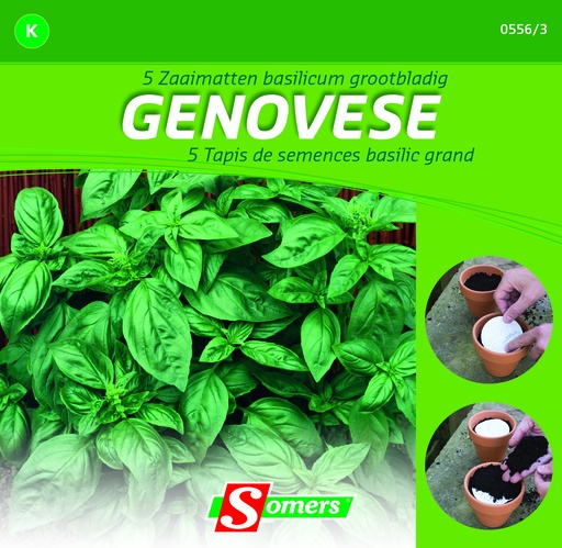[03-005563] Basilicum GENOVESE - 5 tapis de semences