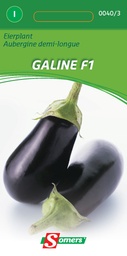 [03-000403] Aubergine of eierplant GALINE F1 - ca. 2g