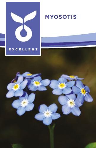 [04-004000] Myosotis VERGEET-ME-NIETJE - ca 0,15 g