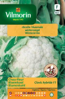[03-000863] Chou-fleur CLOVIS F1 - ca 0,5 g