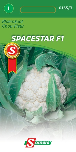 [03-001653] Bloemkolen SPACESTAR F1 - ca 0,25 g