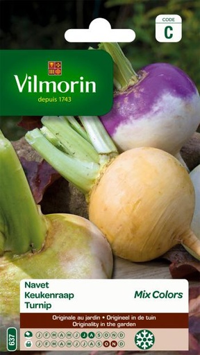 [03-000637] Navet potager MIX - ca 3 g