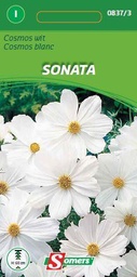 [03-008373] Cosmea WHITE SONATA - ca 1 g