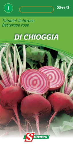 [03-000443] Rode biet DI CHIOGGIA - ca 7 g