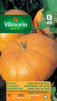 [03-003173] Potiron GROSSE JAUNE DE PARIS - ca 5 g