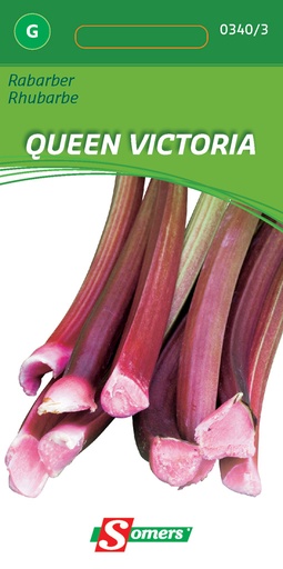 [03-003403] Rabarber VICTORIA - ca 2 g