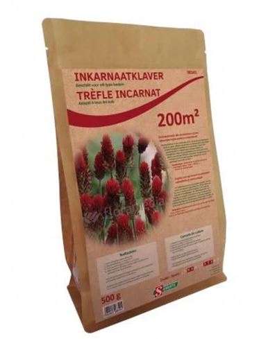 [03-090543] INCARNAATKLAVER - ca 500 g 200m²