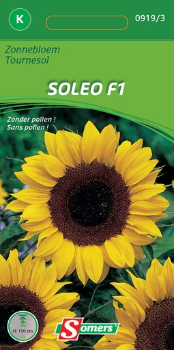 [03-009193] SOLEO F1 ZONNEBLOEM ZONDER POLLEN 20 ZADEN