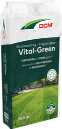 [11-007128] Vital green gazon DCM - 20 kg