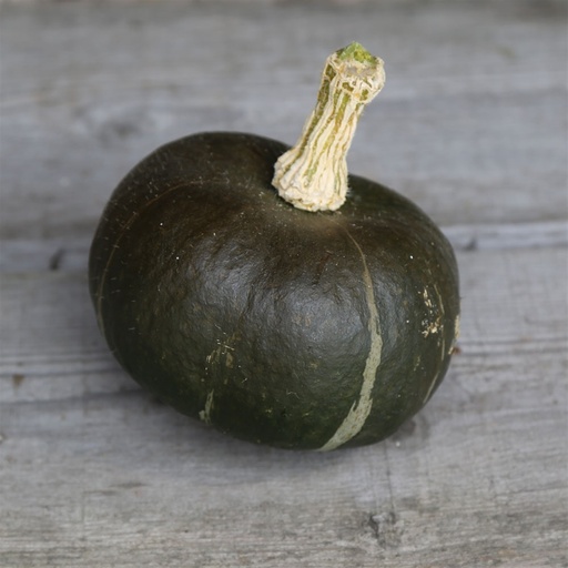 [24-001233] Potimarron bio BUTTERCUP - ca 15 s