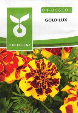 [04-006000] Tagetes GOLDILUX - ca 100 z