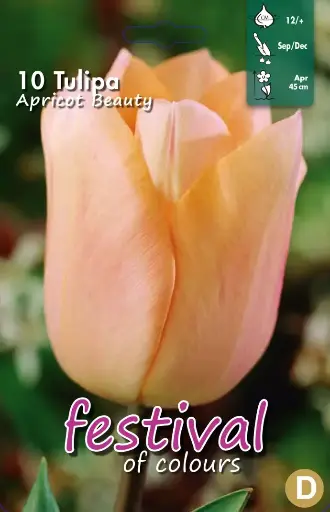 [09-200576] Tulipa APRICOT BEAUTY - 10 pc